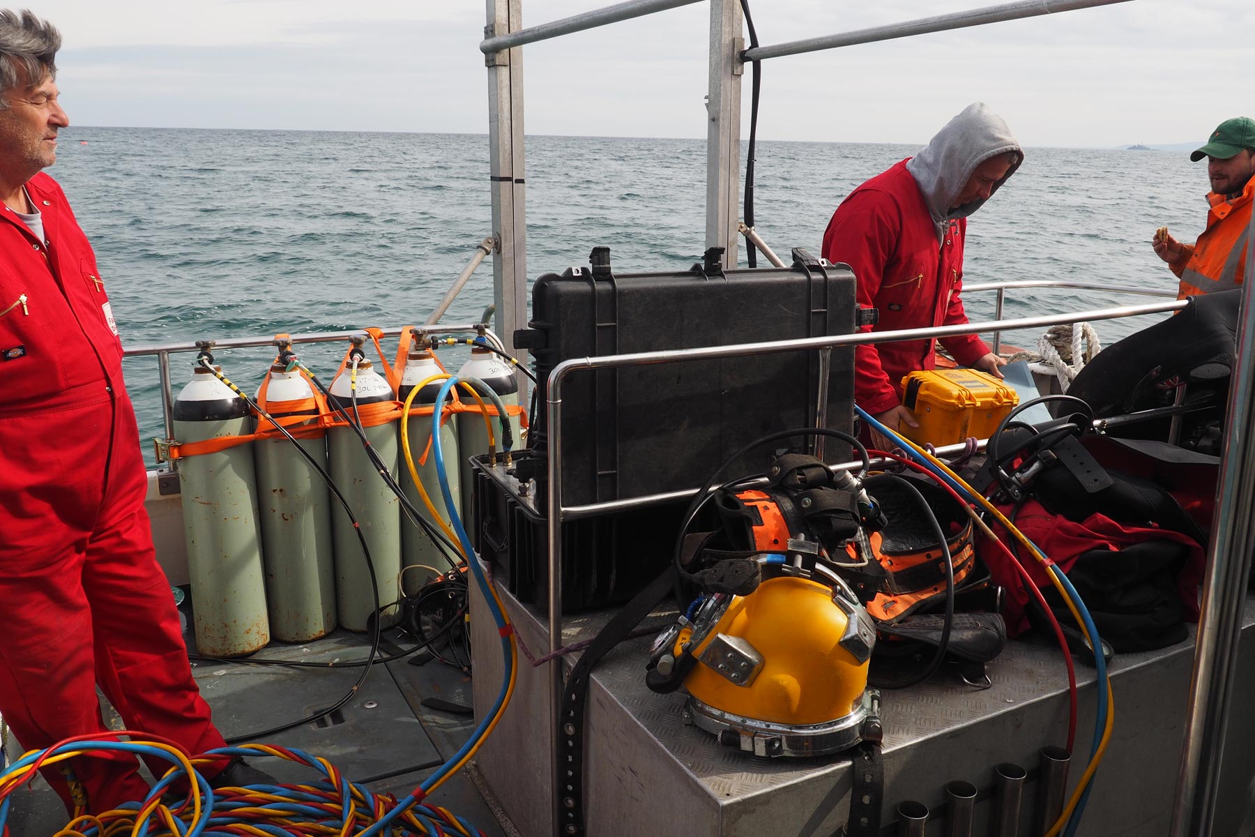 Marine wildlife observation